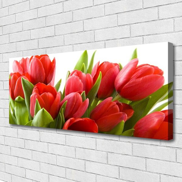Obraz na plátne Tulipány kvety rastlina 125x50 cm