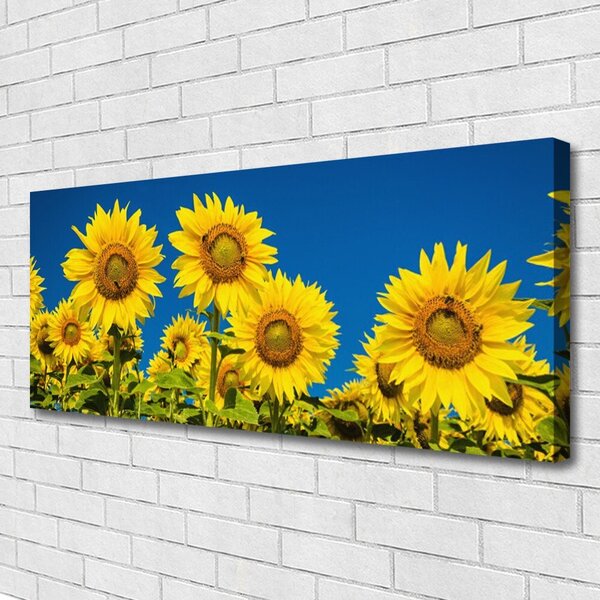 Obraz na plátne Slnečnicami rastlina 125x50 cm