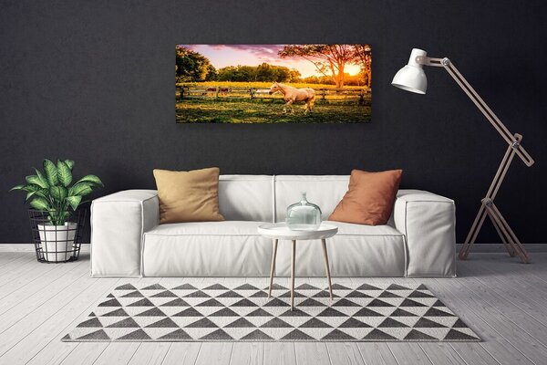 Obraz na plátne Kôň lúka zvieratá 125x50 cm