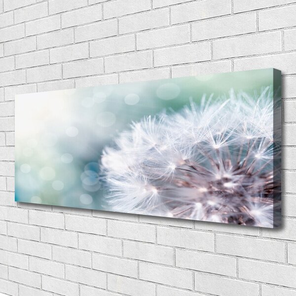 Obraz na plátne Púpava rastlina 125x50 cm