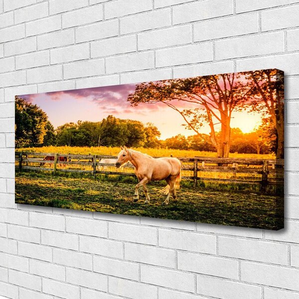Obraz na plátne Kôň lúka zvieratá 125x50 cm