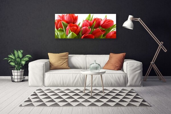 Obraz na plátne Tulipány kvety rastlina 125x50 cm