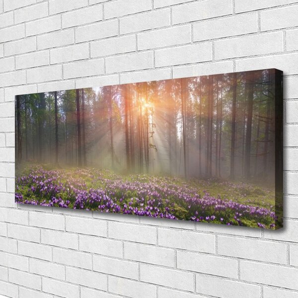 Obraz na plátne Les kvety rastlina príroda 125x50 cm