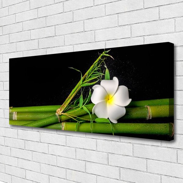 Obraz na plátne Bambus kvet rastlina 125x50 cm