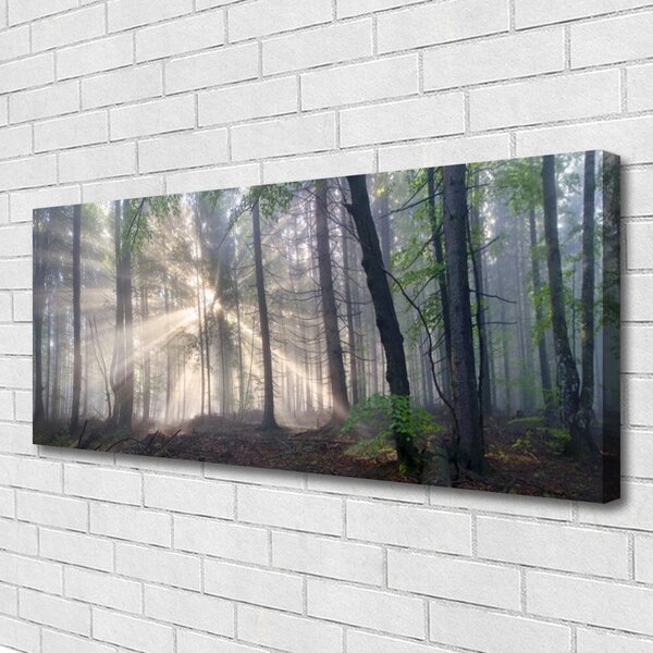 Obraz na plátne Les príroda 125x50 cm