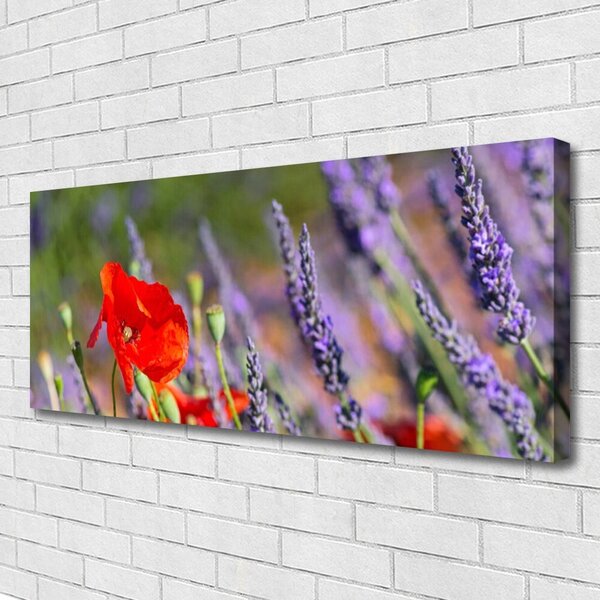 Obraz na plátne Kvety rastlina 125x50 cm