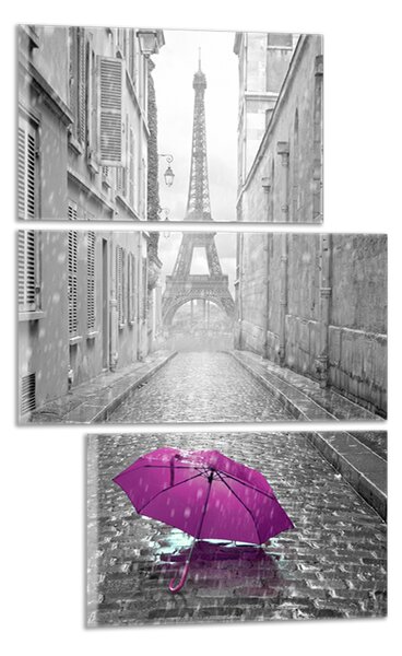 Obraz na plátne Eiffelovka a dáždnik