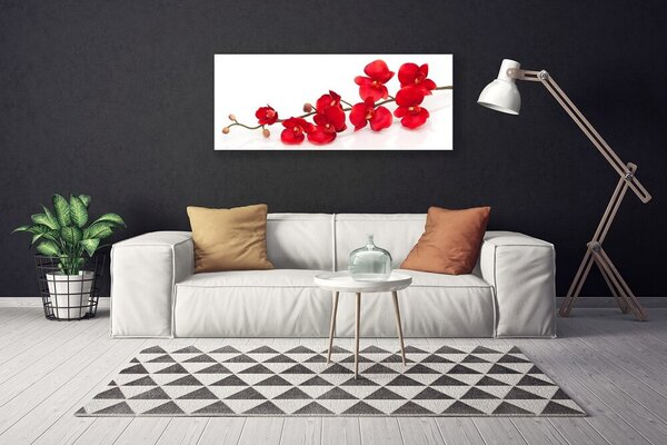 Obraz na plátne Kvety rastlina 125x50 cm