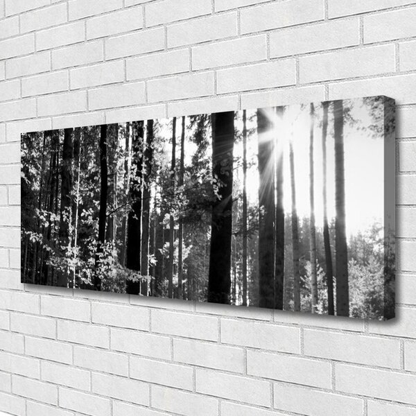 Obraz na plátne Les príroda 125x50 cm