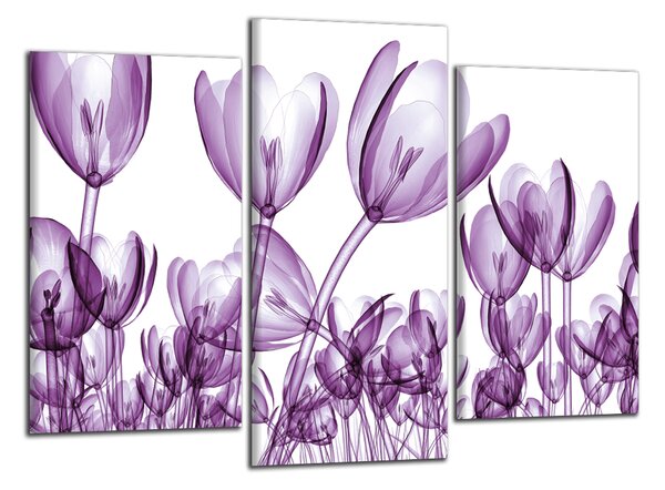 Obraz na plátne Fialové tulipány