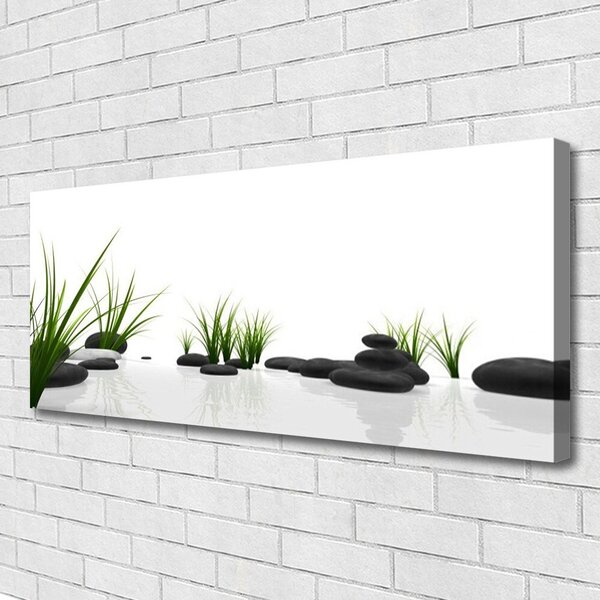 Obraz na plátne Kamene tráva umenie 125x50 cm