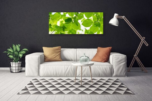 Obraz na plátne Listy príroda rastlina 125x50 cm