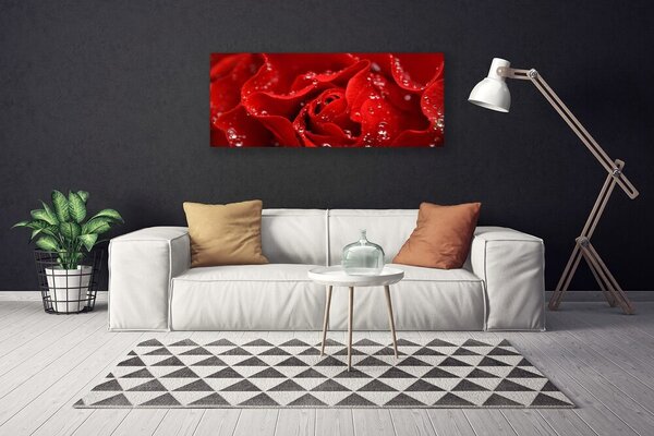Obraz na plátne Ruže kvet rastlina 125x50 cm