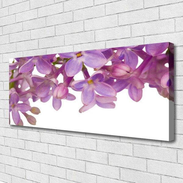 Obraz na plátne Kvety rastlina 125x50 cm