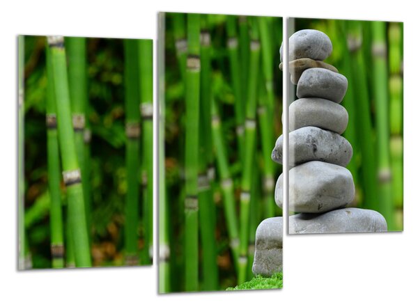 Obraz na stenu Kamene a bambus