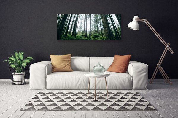 Obraz na plátne Les príroda 125x50 cm