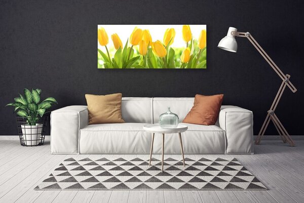 Obraz Canvas Tulipány kvety rastlina 125x50 cm