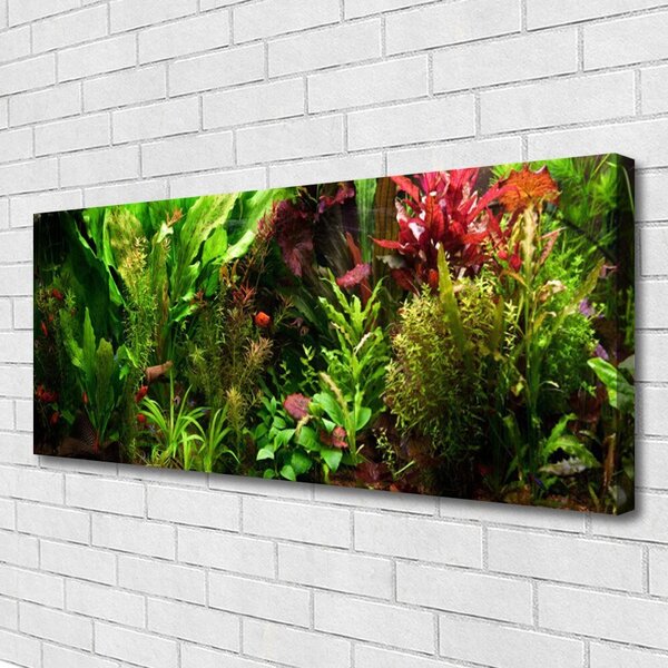 Obraz Canvas Rastlina kvety príroda 125x50 cm