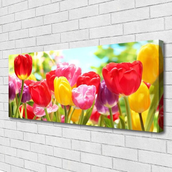 Obraz Canvas Tulipány kvety rastlina 125x50 cm