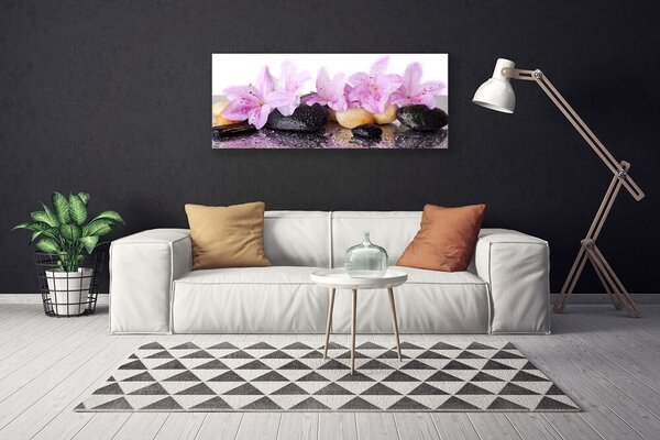 Obraz Canvas Kvet kamene rastlina 125x50 cm