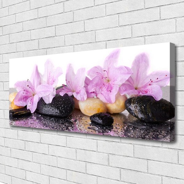 Obraz Canvas Kvet kamene rastlina 125x50 cm