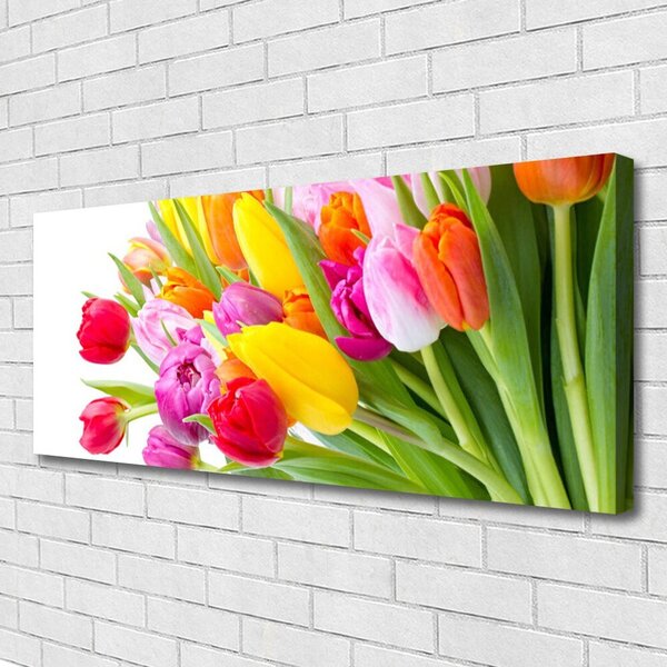 Obraz Canvas Tulipány kvety rastlina 125x50 cm