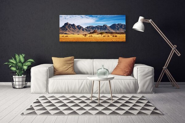 Obraz Canvas Púšť hory príroda 125x50 cm
