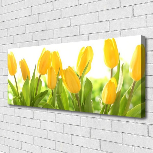 Obraz Canvas Tulipány kvety rastlina 125x50 cm