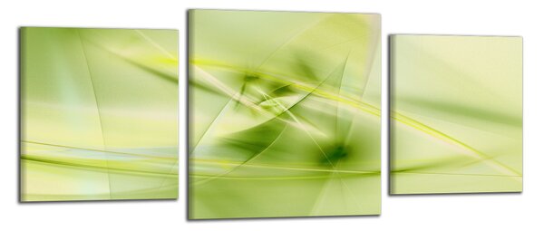 Obraz do bytu Zelená abstrakcia