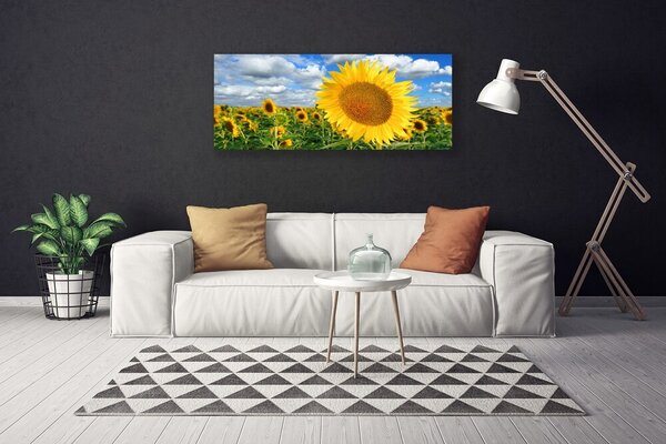 Obraz Canvas Slnečnica kvet rastlina 125x50 cm