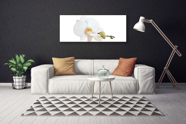 Obraz Canvas Kvet rastlina príroda 125x50 cm