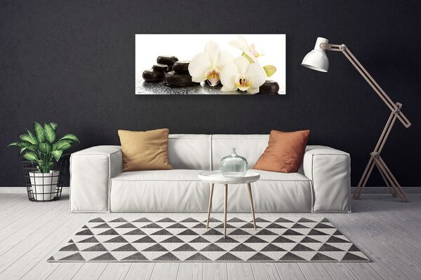 Obraz Canvas Kvet kamene rastlina 125x50 cm