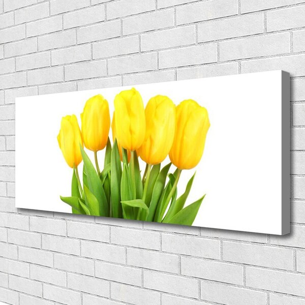 Obraz Canvas Tulipány kvety rastlina 125x50 cm