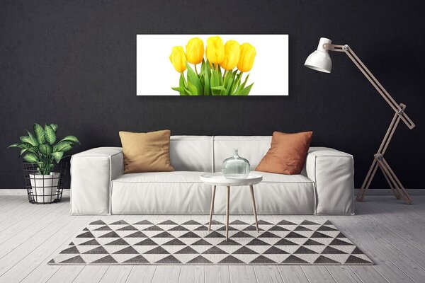 Obraz Canvas Tulipány kvety rastlina 125x50 cm