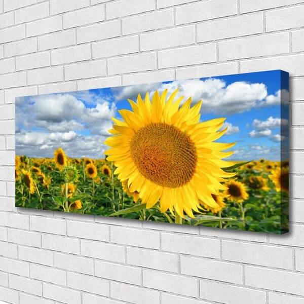 Obraz Canvas Slnečnica kvet rastlina 125x50 cm