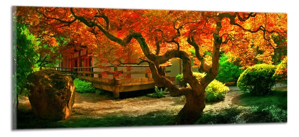Obraz na plátne Japonská záhrada