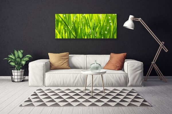 Obraz Canvas Tráva rastlina príroda 125x50 cm