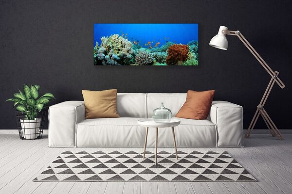 Obraz Canvas Koralový útes príroda 125x50 cm