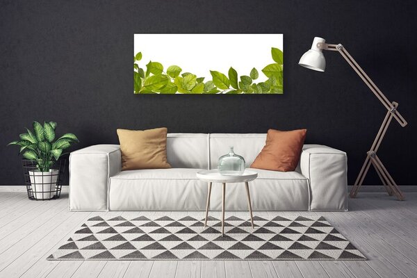 Obraz Canvas Listy príroda rastlina 125x50 cm