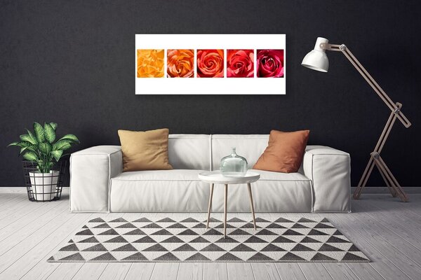 Obraz Canvas Ruže kvety rastlina 125x50 cm