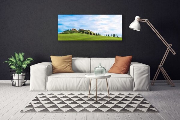 Obraz Canvas Lúka stromy príroda 125x50 cm