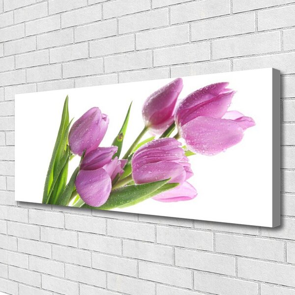 Obraz Canvas Tulipány kvety rastlina 125x50 cm