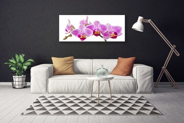Obraz Canvas Kvety rastlina príroda 125x50 cm