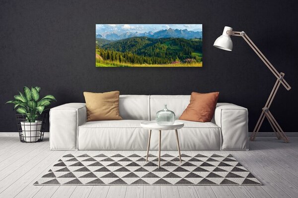 Obraz Canvas Hora les príroda 125x50 cm