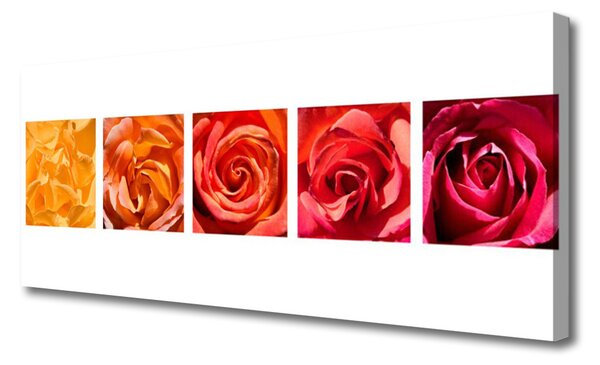 Obraz Canvas Ruže kvety rastlina 125x50 cm