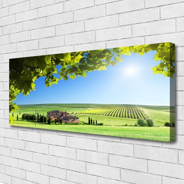 Obraz Canvas Pole listy krajina 125x50 cm