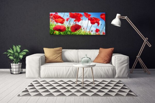 Obraz Canvas Maky rastlina príroda 125x50 cm