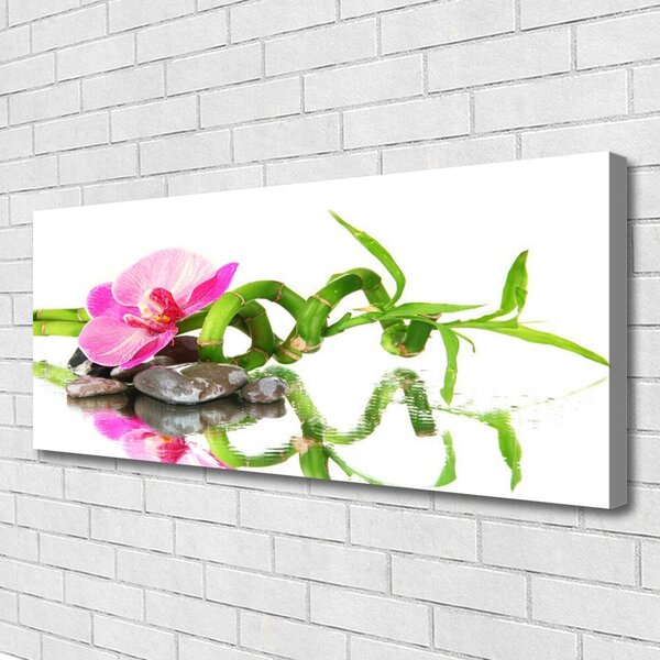 Obraz Canvas Bambus kvet kamene umenie 125x50 cm