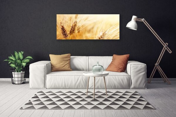 Obraz Canvas Pšenica rastlina príroda 125x50 cm
