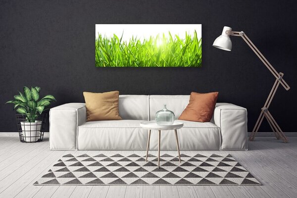 Obraz Canvas Tráva rastlina príroda 125x50 cm